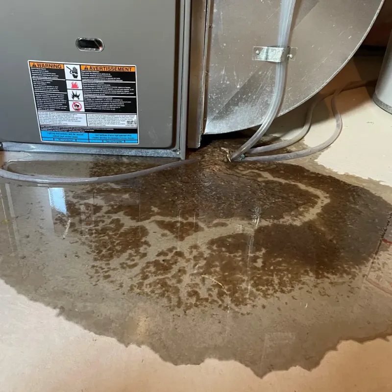 Appliance Leak Cleanup in Fairfax, VA