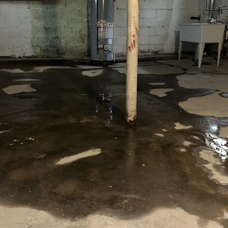Emergency Water Extraction And Removal in Fairfax, VA